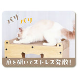 Petio "Cat Window" Scratching House