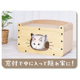Petio "Cat Window" Scratching House