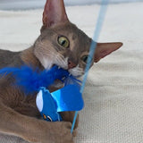 Petio “Happiness Blue Bird" Wand with Crinkle & Feather (Blue Toy Range)