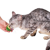 "The Avo-Cat-Do" Interactive Lickable Wall Toy with Catnip
