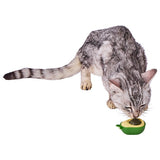 "The Avo-Cat-Do" Interactive Lickable Wall Toy with Catnip