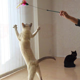 Petz Route Cat Teaser with Feathers & Ribbon - Green