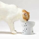 Necoichi Raised Cat Water Bowl in Ergonomic Porcelain - Regular Size