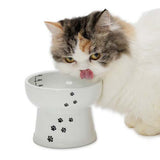 Necoichi Raised Cat Water Bowl in Ergonomic Porcelain - Regular Size