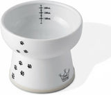 Necoichi Raised Cat Water Bowl in Ergonomic Porcelain - Regular Size