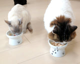 Necoichi Elevated Whiskers-Friendly Cat Food Bowl in Ergonomic Porcelain - Regular Size
