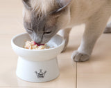 Necoichi Elevated Whiskers-Friendly Cat Food Bowl in Ergonomic Porcelain - Regular Size