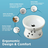 Necoichi Elevated Whiskers-Friendly Cat Food Bowl in Ergonomic Porcelain - Regular Size