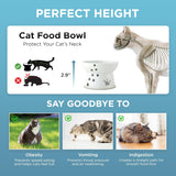 Necoichi Elevated Whiskers-Friendly Cat Food Bowl in Ergonomic Porcelain - Regular Size