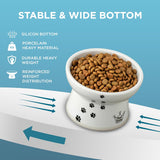 Necoichi Elevated Whiskers-Friendly Cat Food Bowl in Ergonomic Porcelain - Regular Size