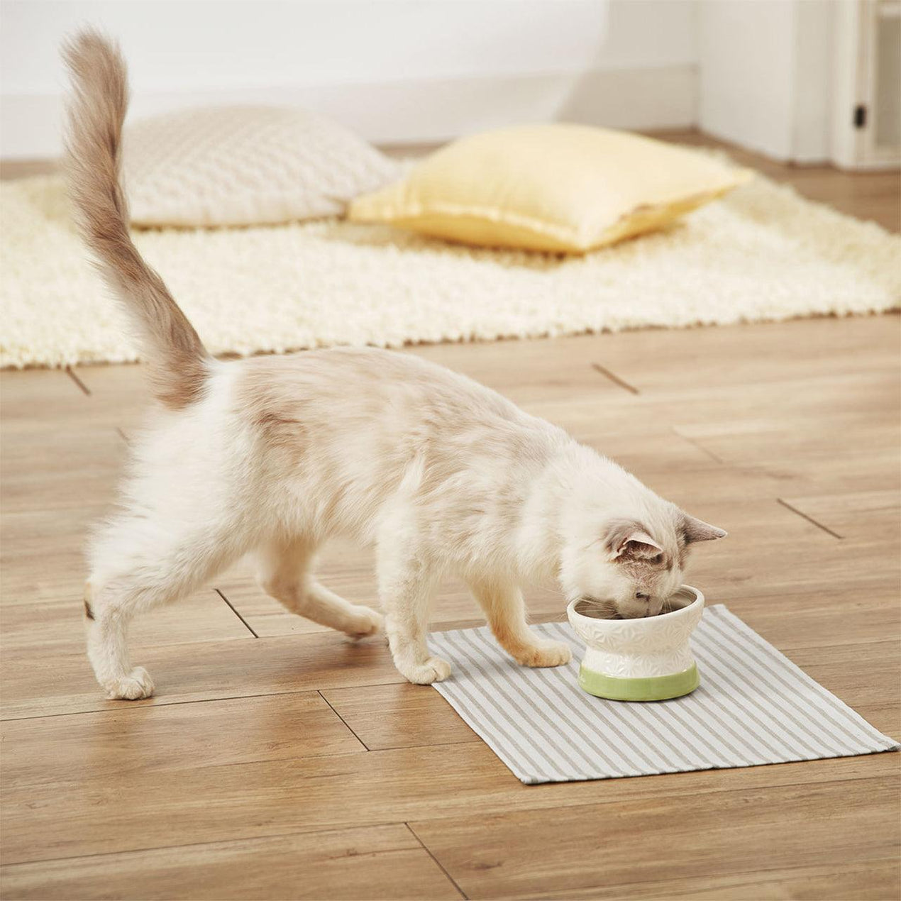 Shop Petio Raised Cermaic Cat Bowls  Cats1stUK