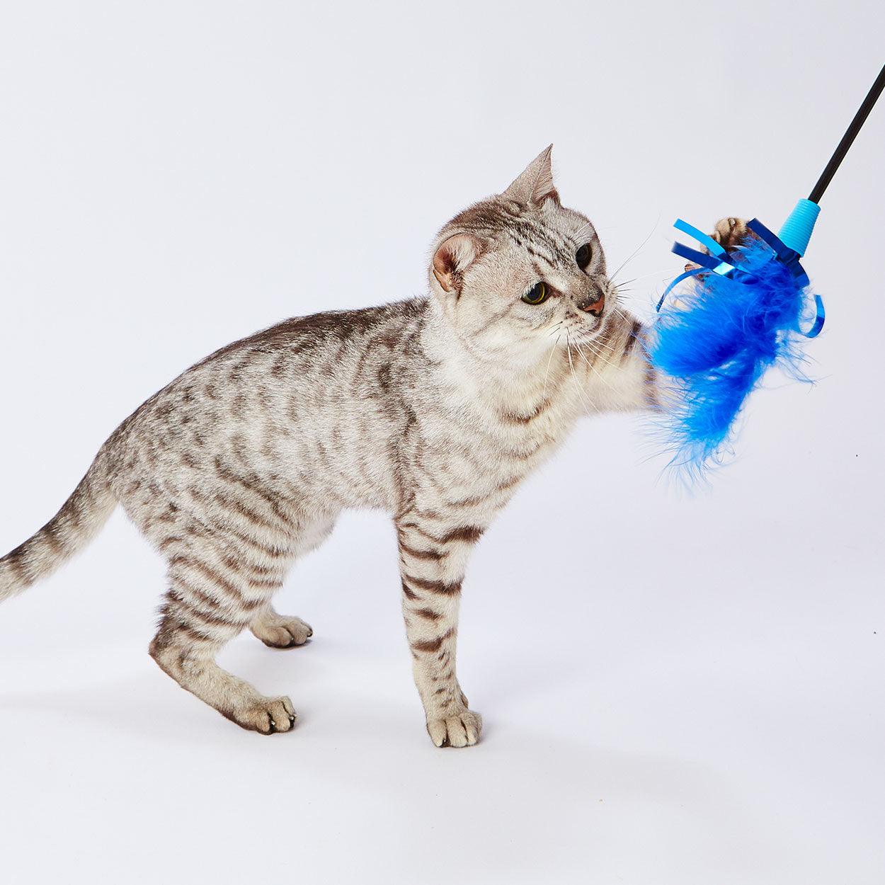 Petio Blue Toy Range ~ Bird Feathers Cat Teaser - Cats1stUK