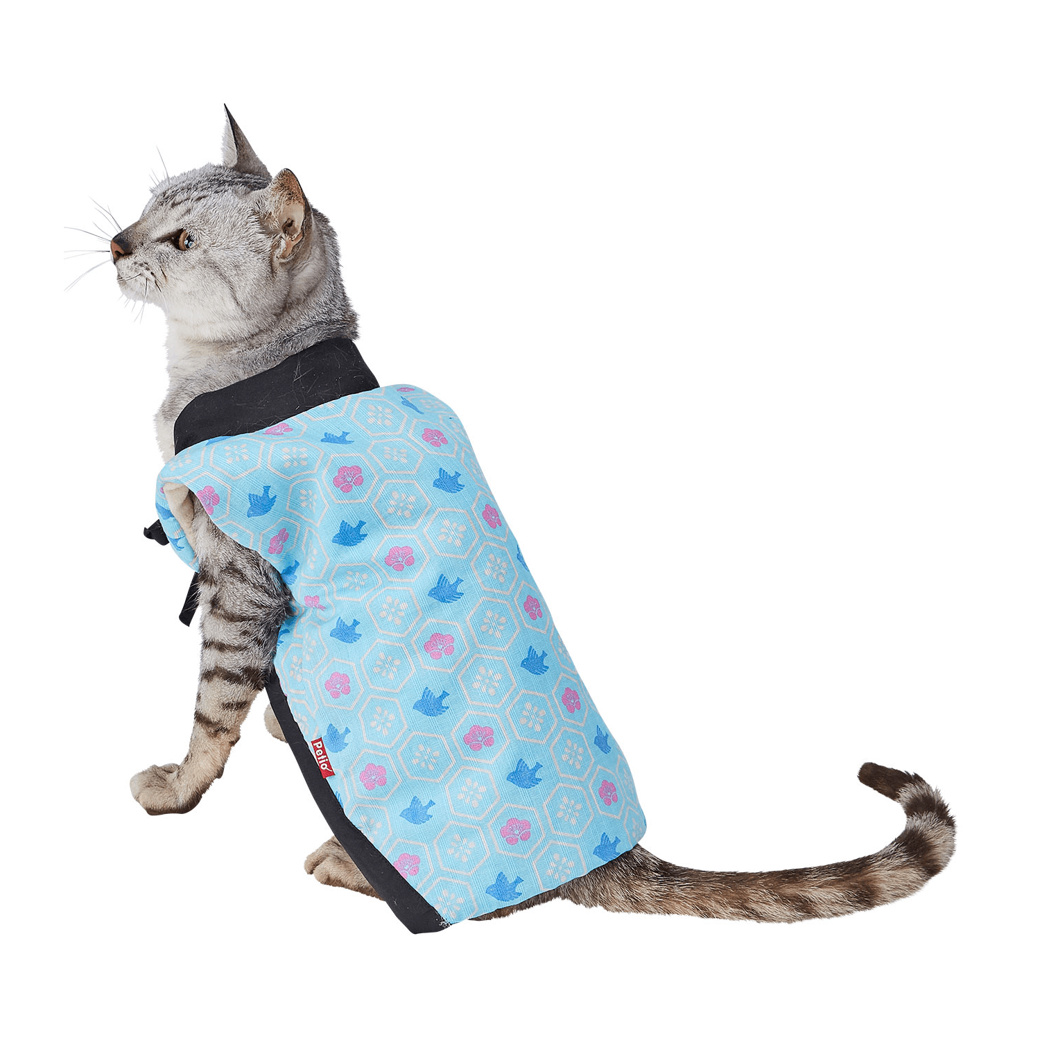 Petio Winter Nuku Nuku Kimono Jacket - Cats1stUK