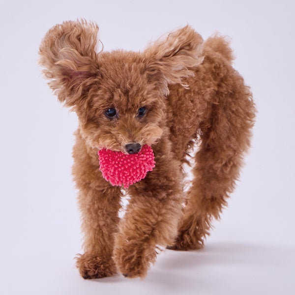 red-moko-moko