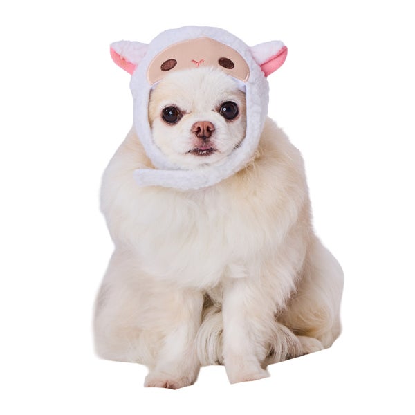 white-snood