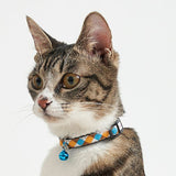 blue-and-brown-collar