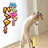 Petz Route "Aurora Hunter" Teaser Wand