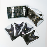 "Kuroneko Match" Black Cat Memory Game