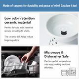 Necoichi Raised Cat Water Bowl in Ergonomic Porcelain - Regular Size