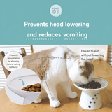 Necoichi Raised Cat Water Bowl in Ergonomic Porcelain - Regular Size
