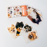 "Pome Match" Pomeranian Memory Game