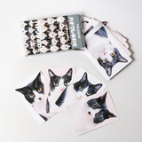 "Hachiware Match" Tuxedo Cat Memory Game