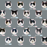 "Hachiware Match" Tuxedo Cat Memory Game