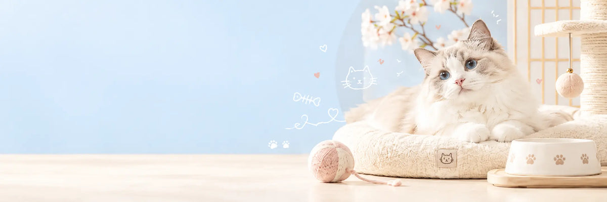 Japanese Cat Products and Supplies