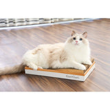 日本 貓壱 Necoichi 猫壱抓盤更換專用盤