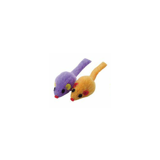 orange-purple