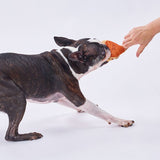 Petio "Dorayaki" Plush Tug & Squeaky Dental Rope Toy