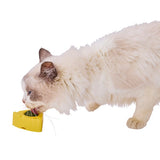 The "Big Cheese" Interactive Lickable Wall Toy with Catnip