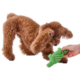 Petio AddMate "Verde Tartaruga" Dental Rope Turtle 3-in-1 Interactive Tug & Nosework Toy