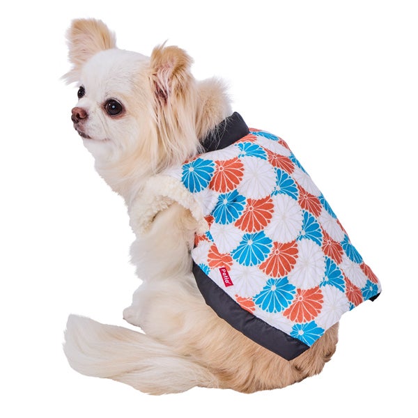 blue-orange-jacket-s