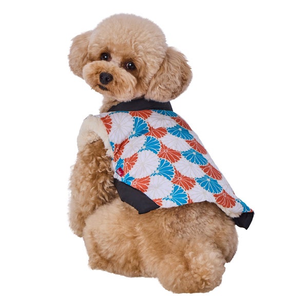 blue-orange-jacket-m