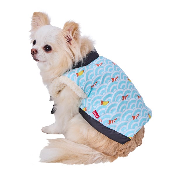 shrimp-jacket-s