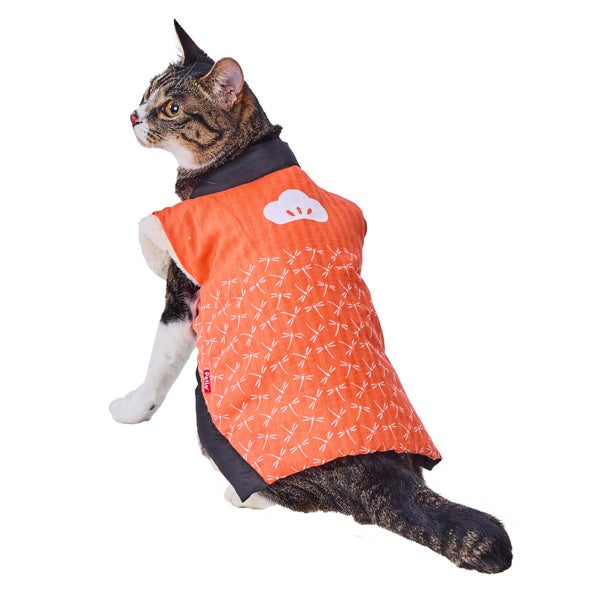 orange-jacket-*