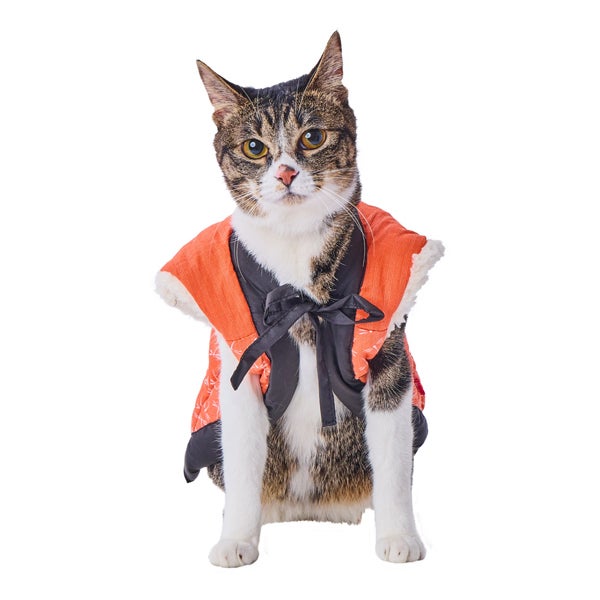 orange-jacket-*