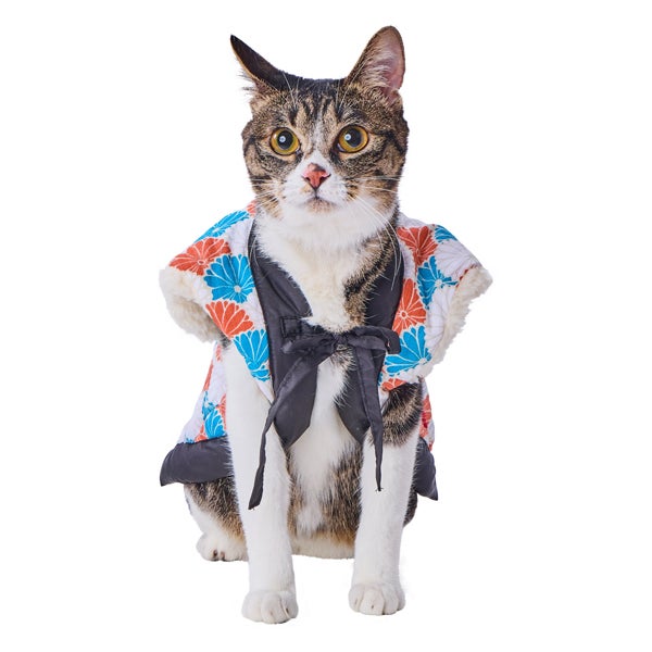 blue-orange-jacket-*