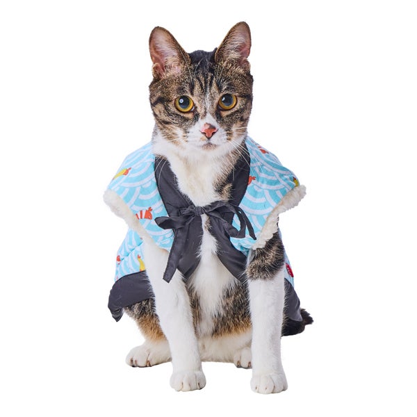 shrimp-jacket-*