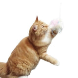 Petz Route "Kasha Kasha" Long-Reach Wand - Giant Antlion
