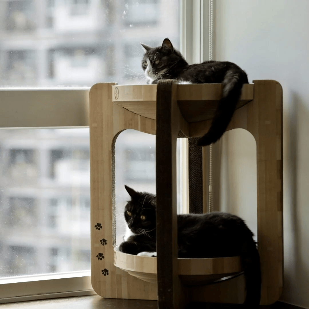 Japan Necoichi Cozy Cat Scratcher Tower - Cats1stUK