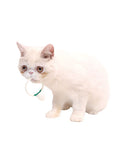 Japan Petz Route Natural Dental Care Pacifier with Catnip Fruitage