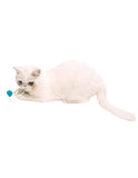 Japan Petz Route Natural Dental Care Pacifier with Catnip Fruitage