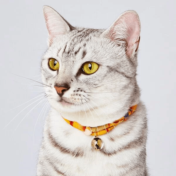 Petio AddMate Handmade Kimono Pattern Cat Collar - Cats1stUK